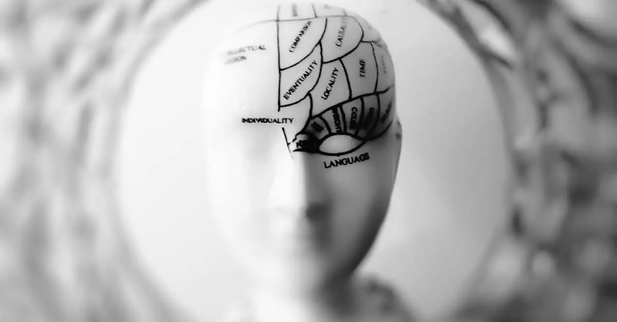Schema verslaving hersenen dopamine