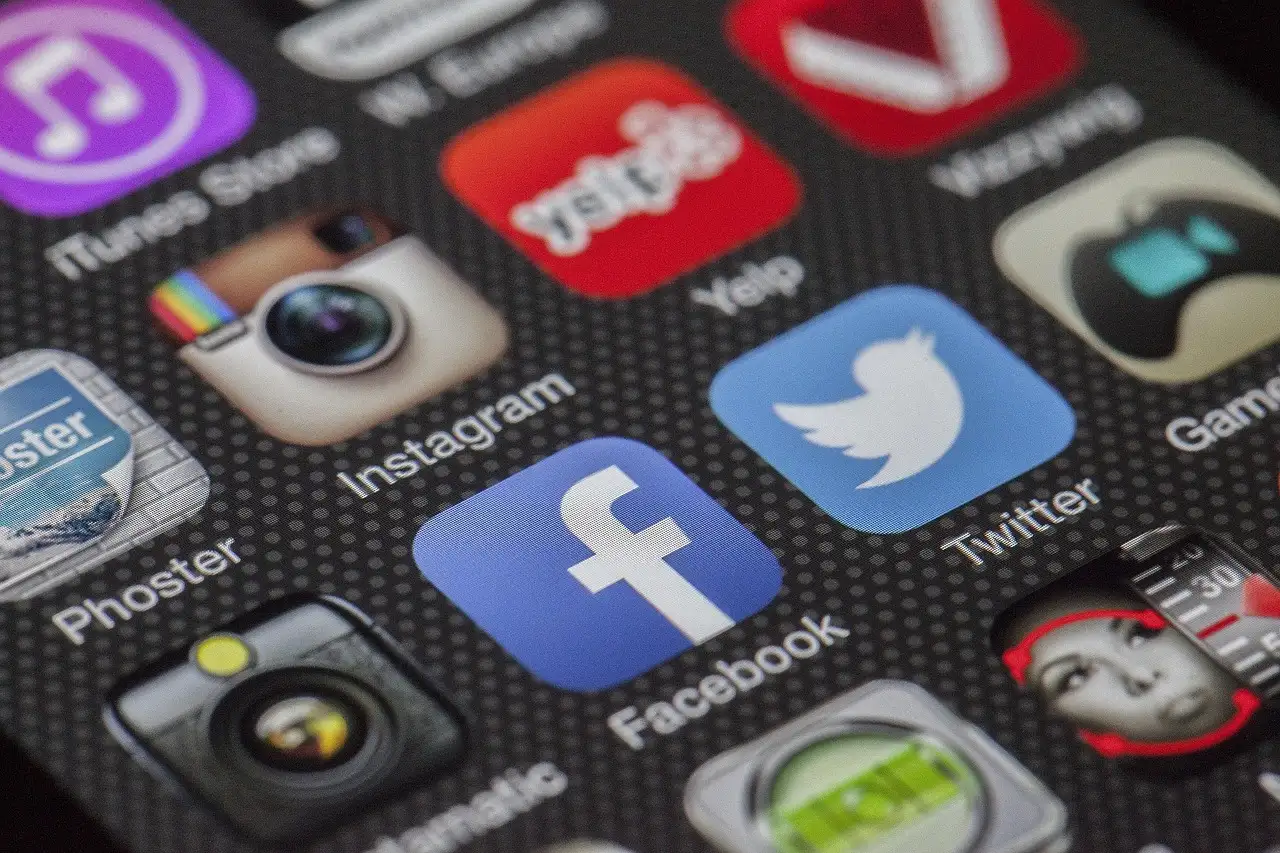 Artikel social media verslaving